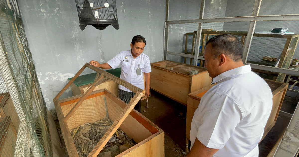 Inspektur Wilayah I dan Kakanwil Ditjenpas Kalsel Tinjau Budidaya Strawberry, Jangkrik, dan Maggot di Lapas Narkotika Karang Intan